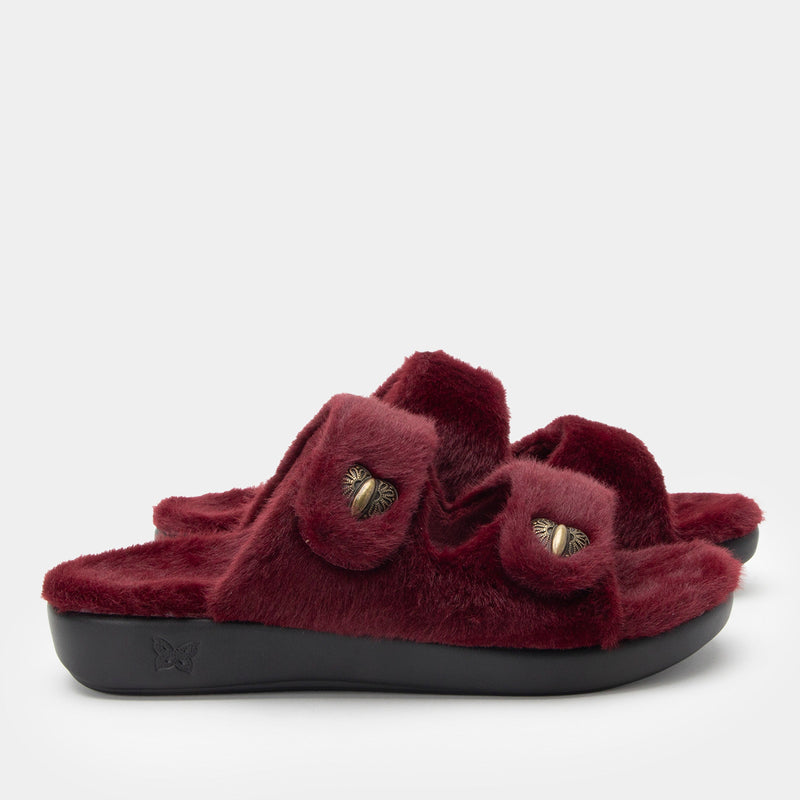 Chillery Wine Slipper - Web Exclusive | Alegria Shoes