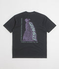 Gramicci Stonemasters Graphic T-Shirt in Vintage Black