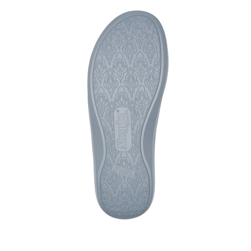 Savvie Navy Shoe | Alegria Shoes